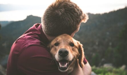 photo of man hugging tan dog